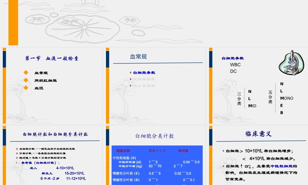 血液一般检测(白细胞).ppt