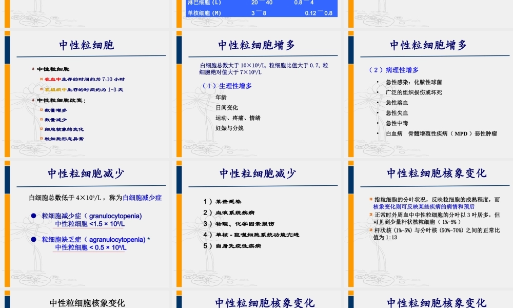 血液一般检测(白细胞).ppt