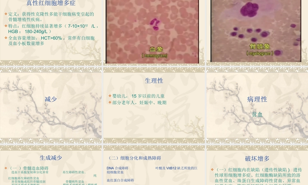 血液一般检验1.ppt