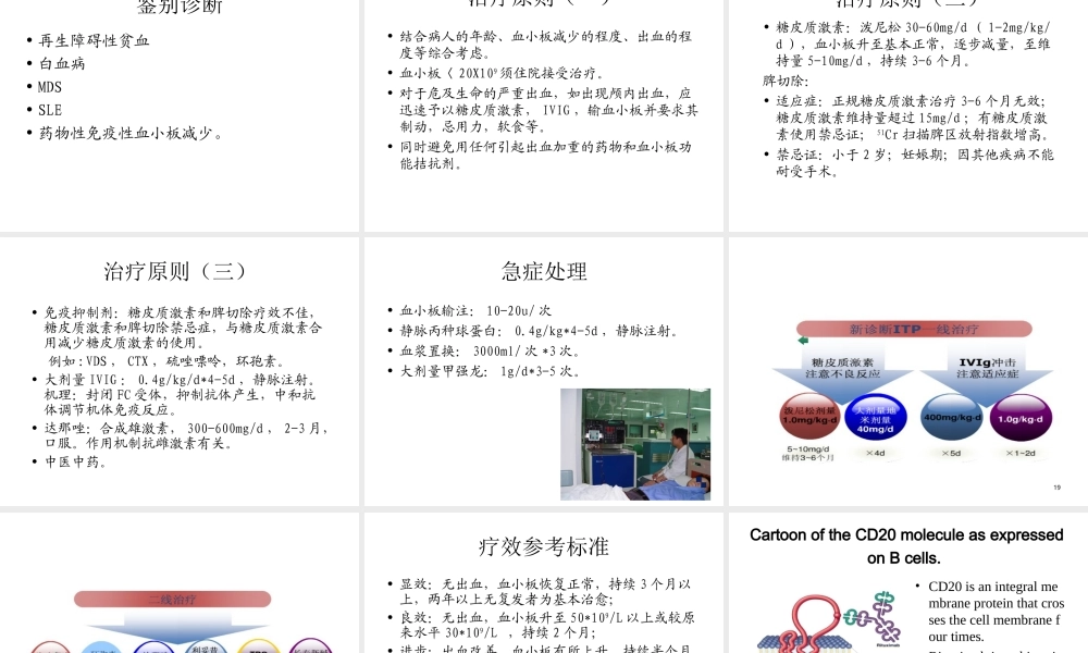 血液学-ITP-AA.ppt