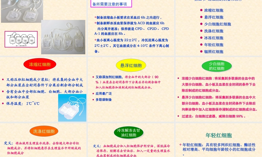 血液成分制备.ppt