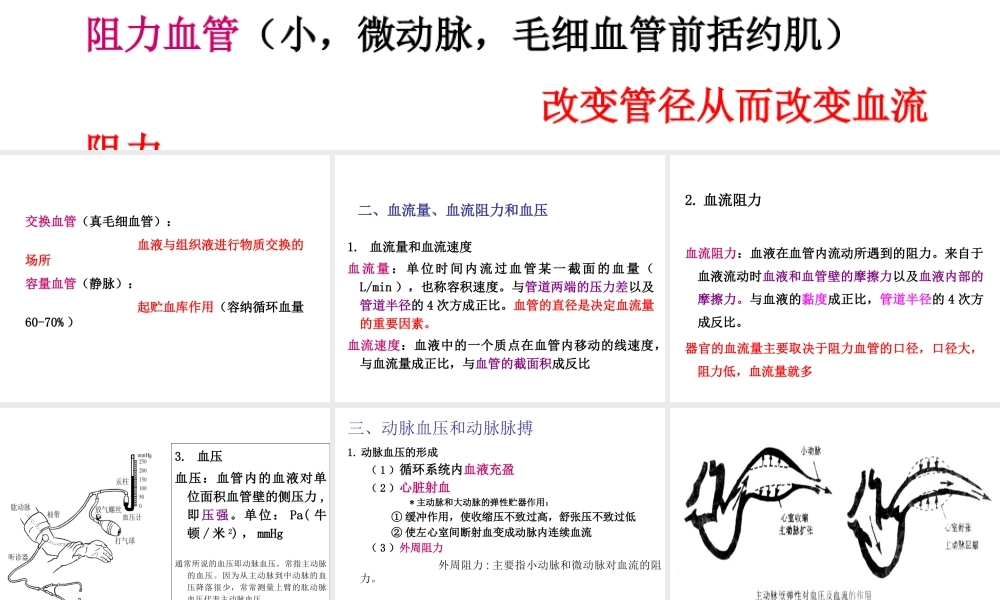 血液循环血管生理.ppt