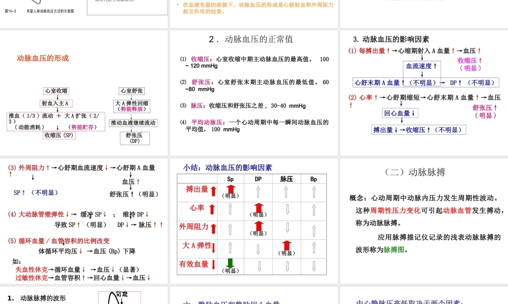 血液循环血管生理.ppt