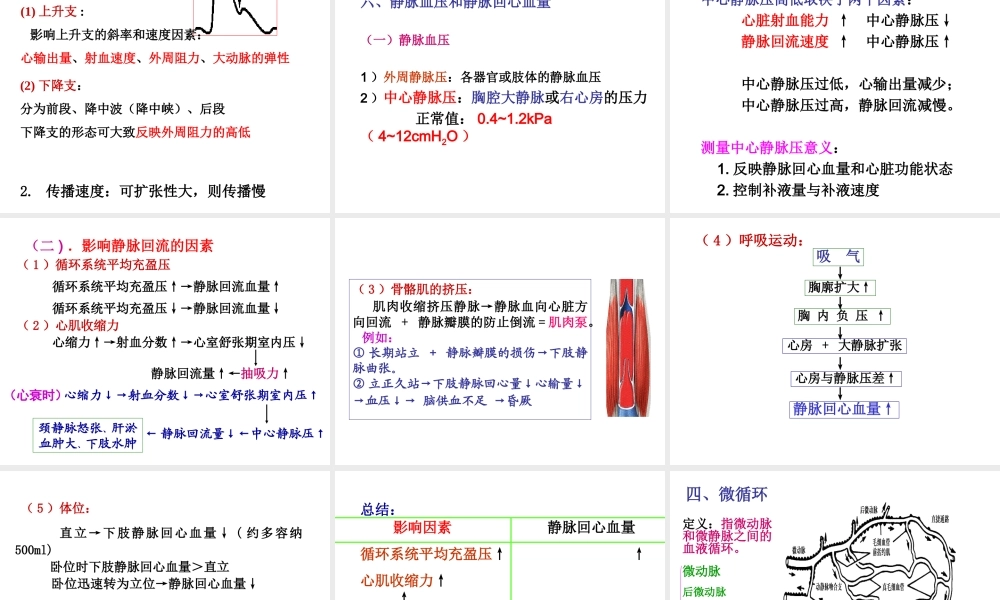 血液循环血管生理.ppt