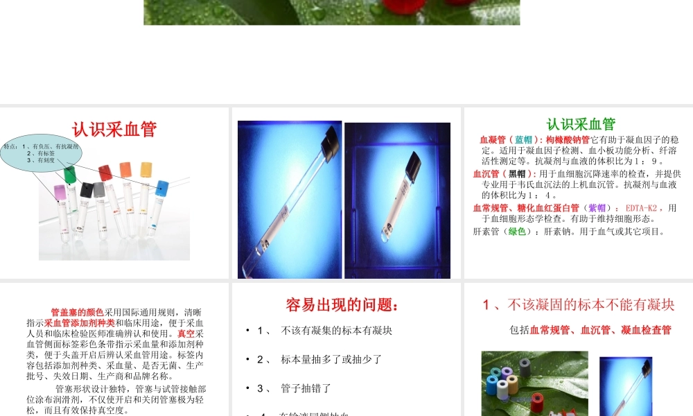 血液标本的正确采集.ppt