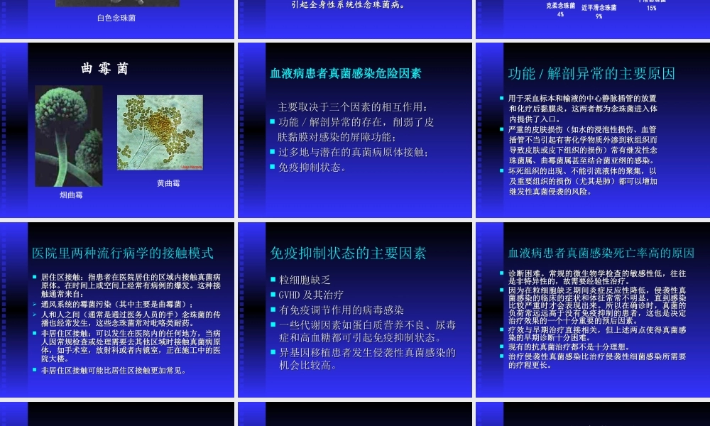 血液病真菌感染(王椿).ppt