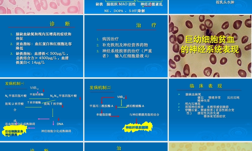 血液病的神经系统表现.ppt