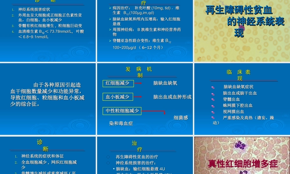 血液病的神经系统表现.ppt