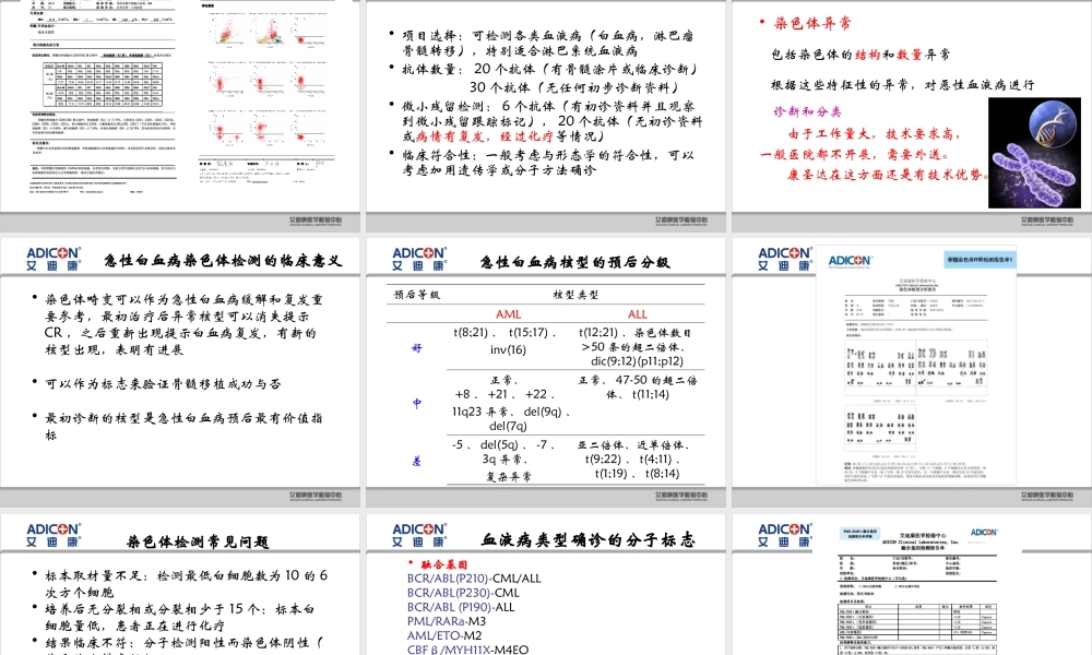 血液病项目艾迪康.ppt