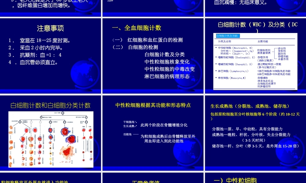 血液的一般检查--2.ppt