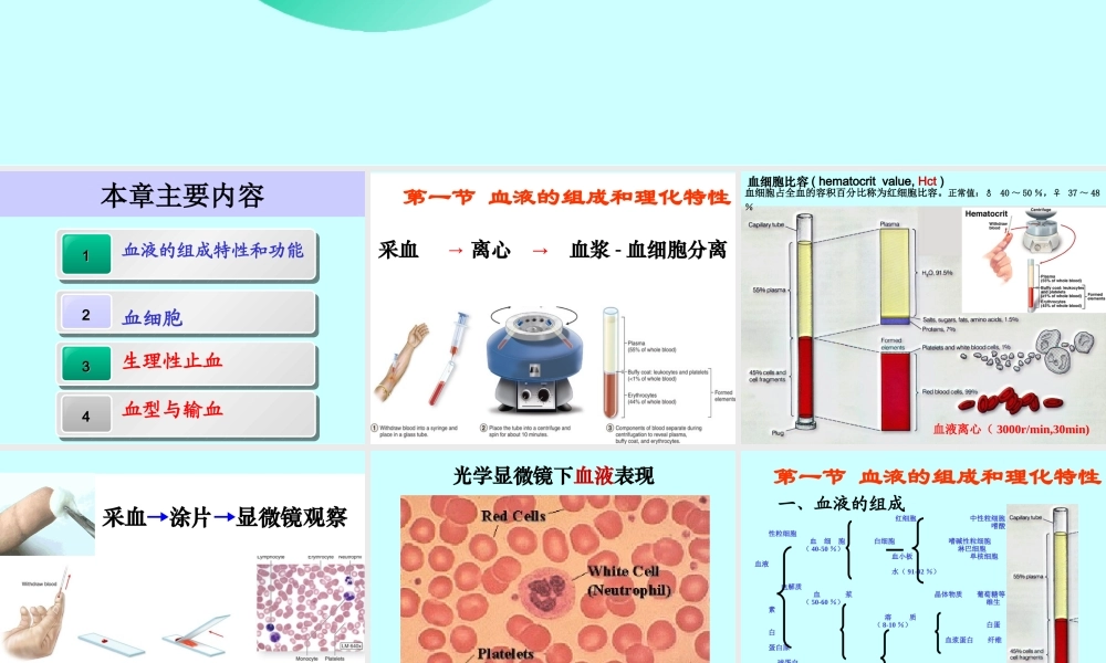 血液的主要功能.ppt