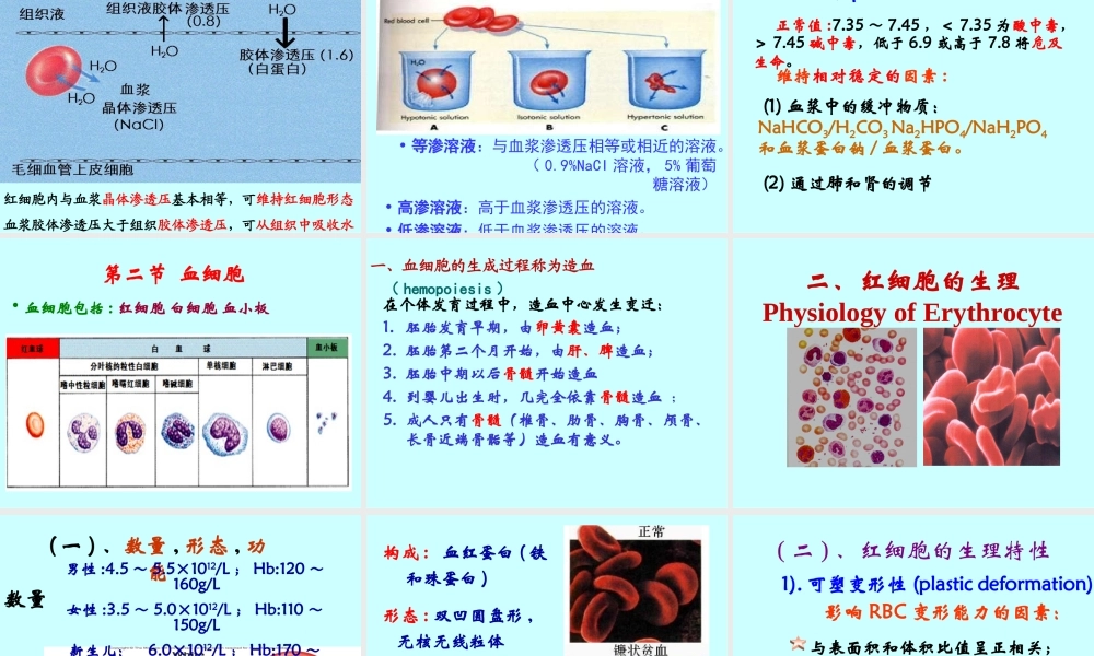 血液的主要功能.ppt