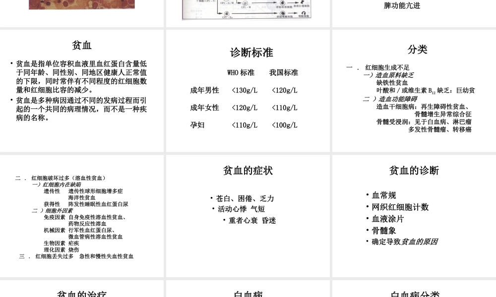 血液系统.ppt