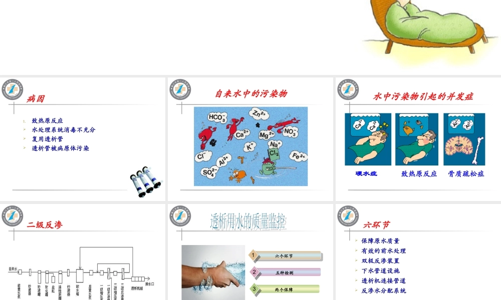 血液透析性发热.ppt