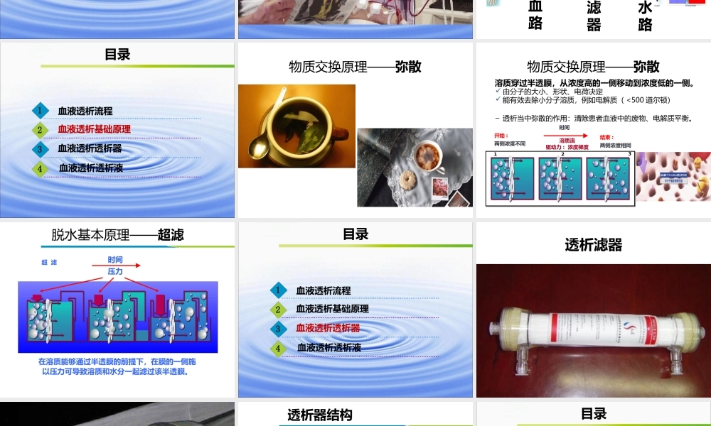 血液透析技术与基础原理.pptx