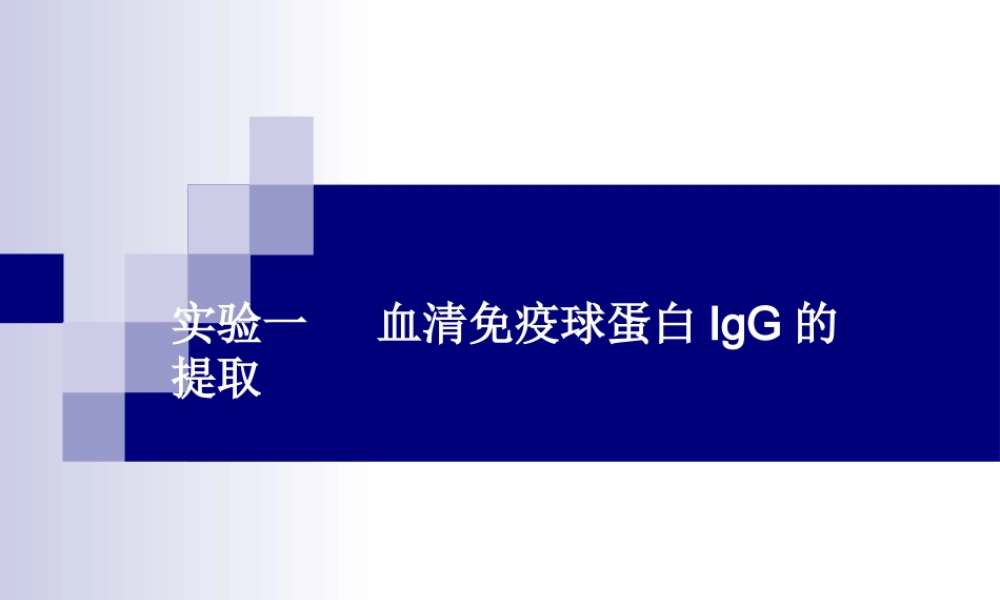 血清免疫球蛋白IgG提取幻灯片.ppt