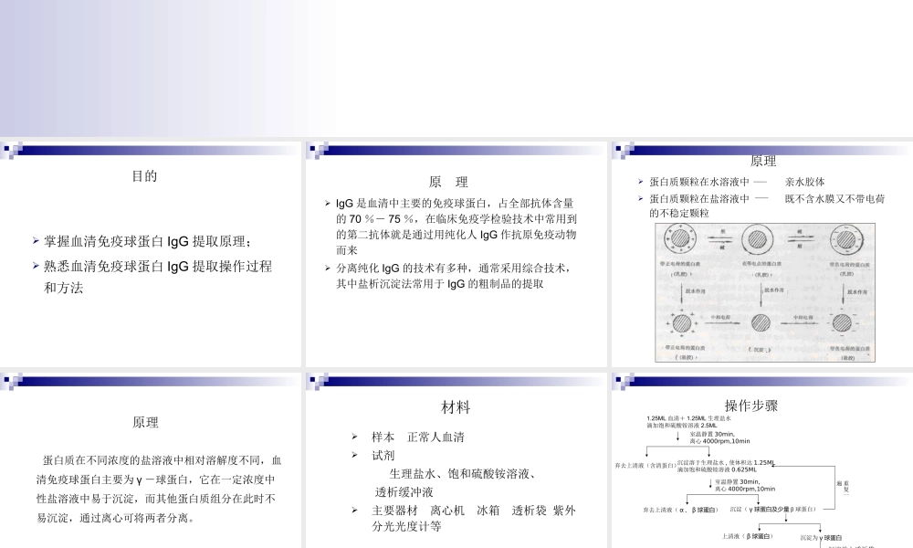 血清免疫球蛋白IgG提取幻灯片.ppt