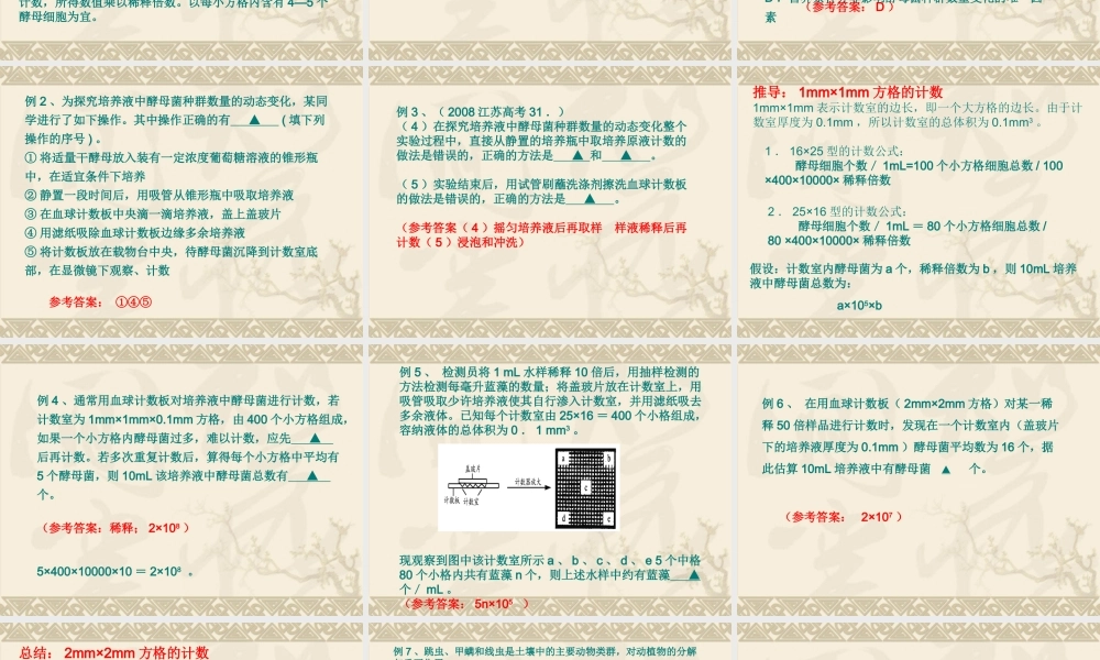 血球计数板使用及相关计算.ppt