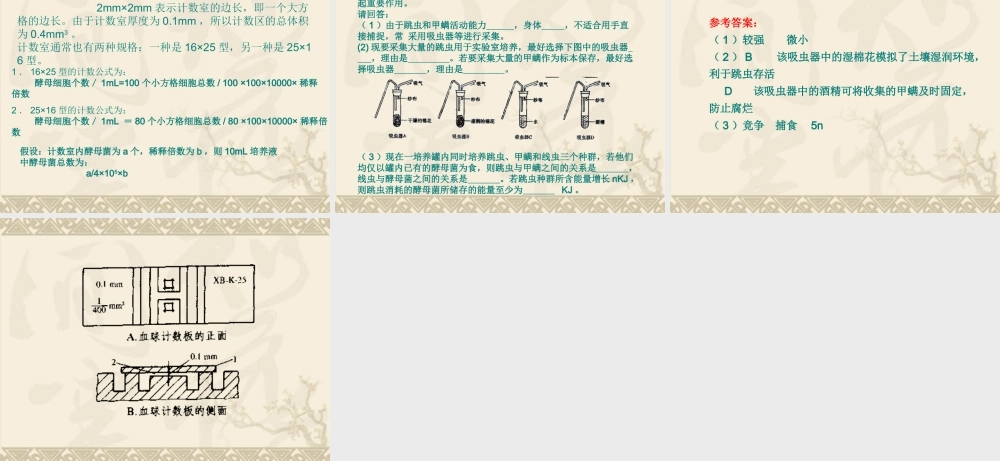 血球计数板使用及相关计算.ppt