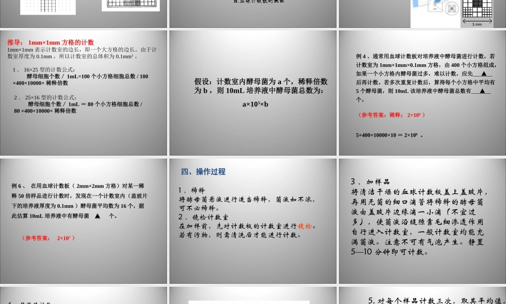 血球计数板计数法.ppt