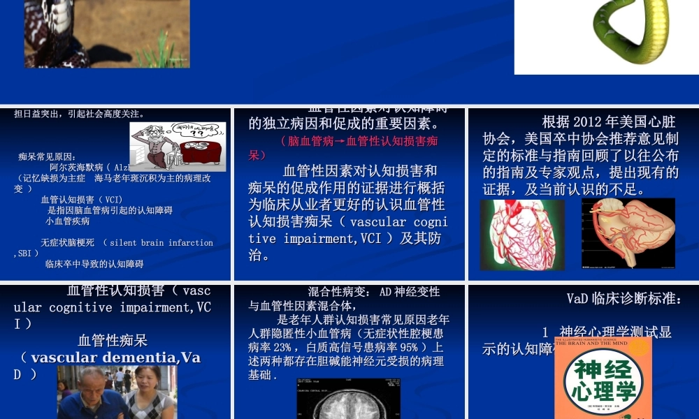 血管性因素对认知损害和痴呆的促成作用及防治.ppt