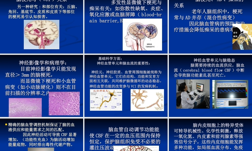 血管性因素对认知损害和痴呆的促成作用及防治.ppt