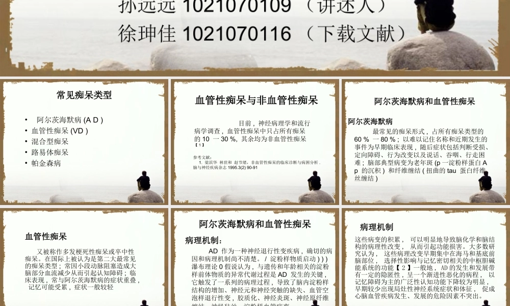 血管性痴呆与非血管性痴呆的区别.ppt
