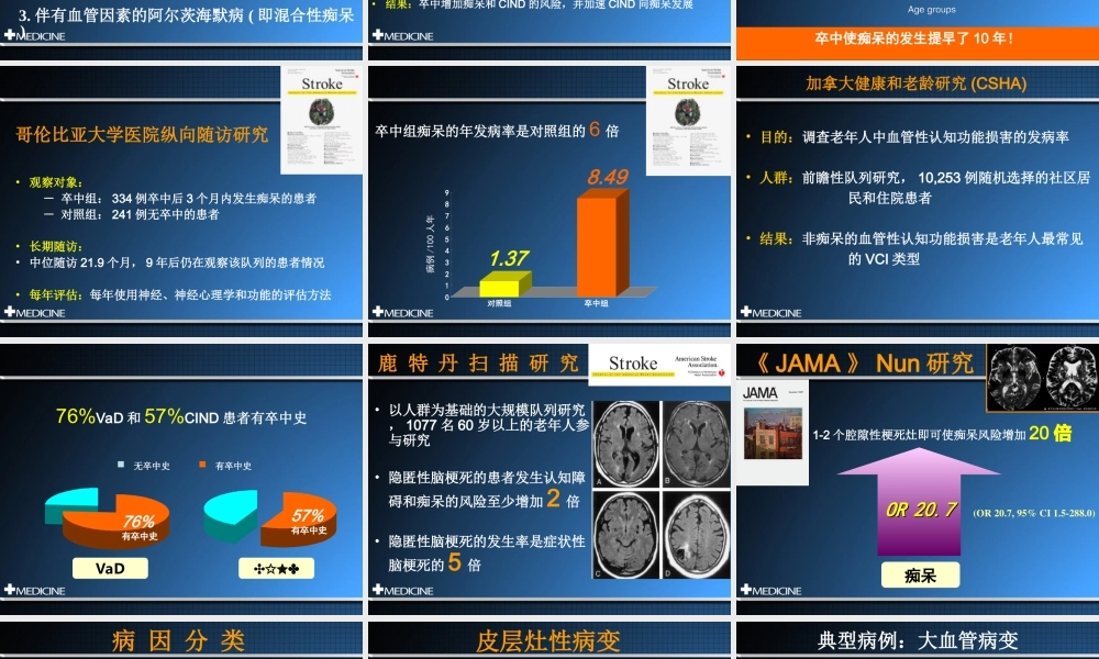 血管性认知功能障碍-许康.ppt