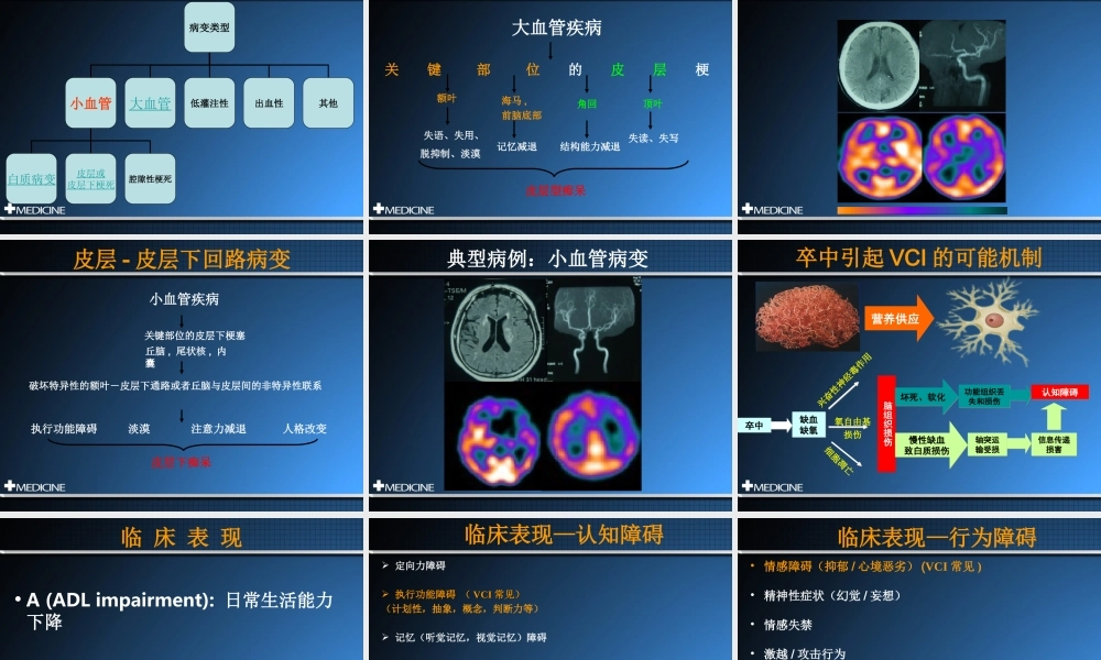 血管性认知功能障碍-许康.ppt