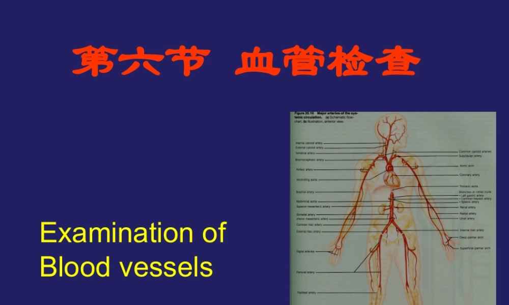 血管检查和常见异常.ppt