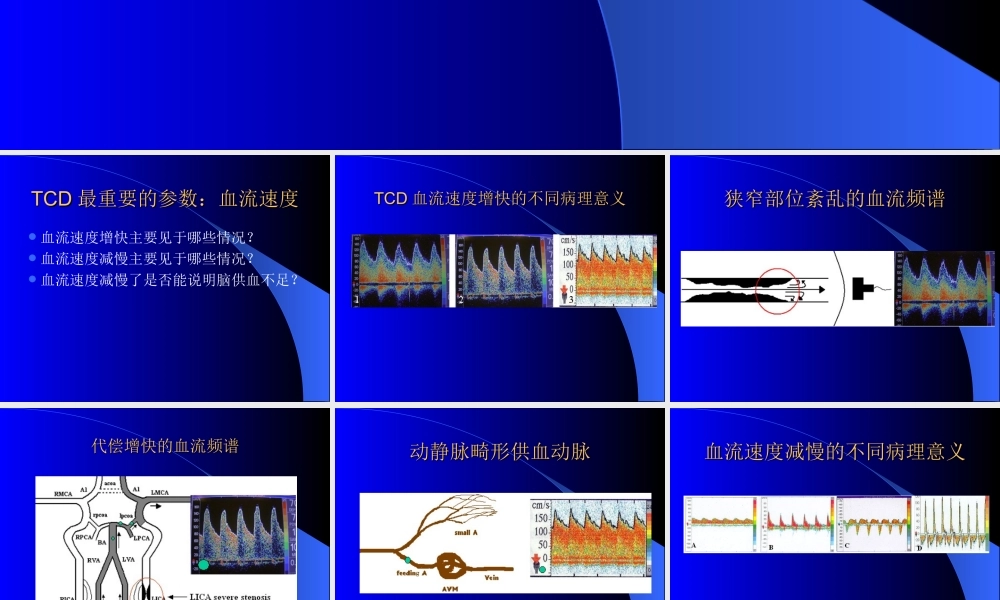 血管流速快慢的意义.ppt