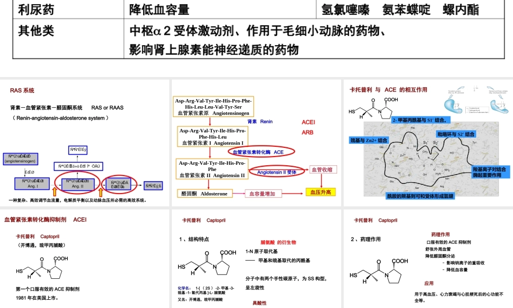 血管紧张素.ppt