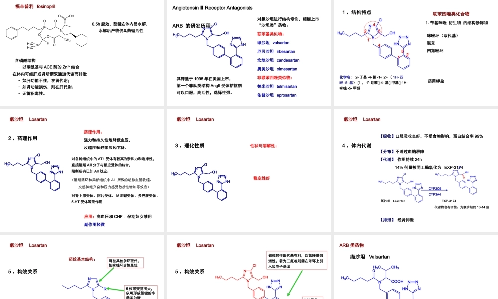 血管紧张素.ppt