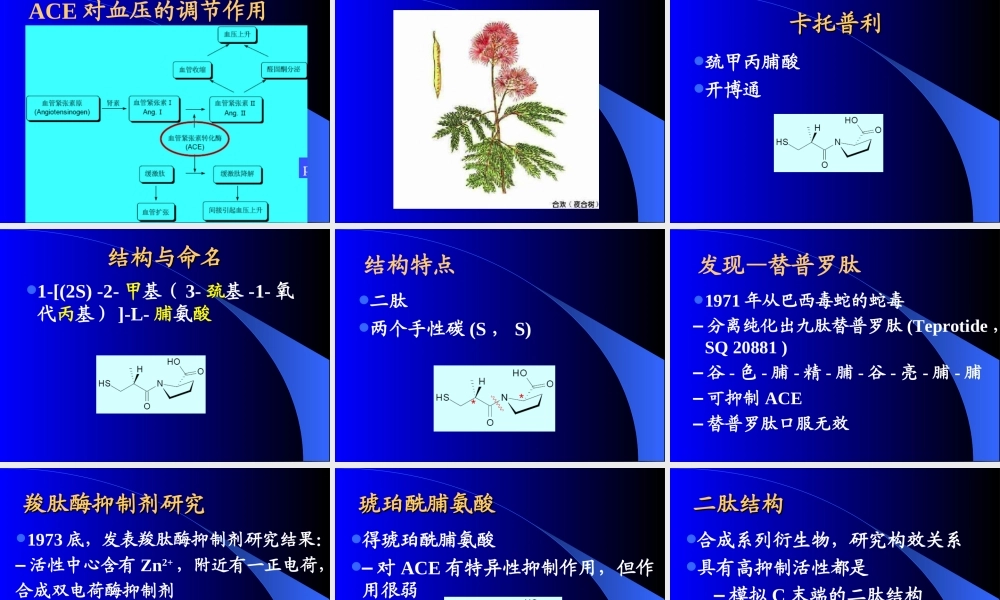 血管紧张素转化酶抑制剂与血管紧张素II受体拮抗剂.ppt