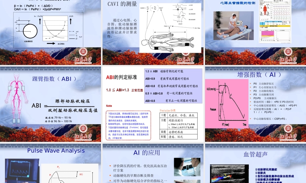 血管评估.ppt