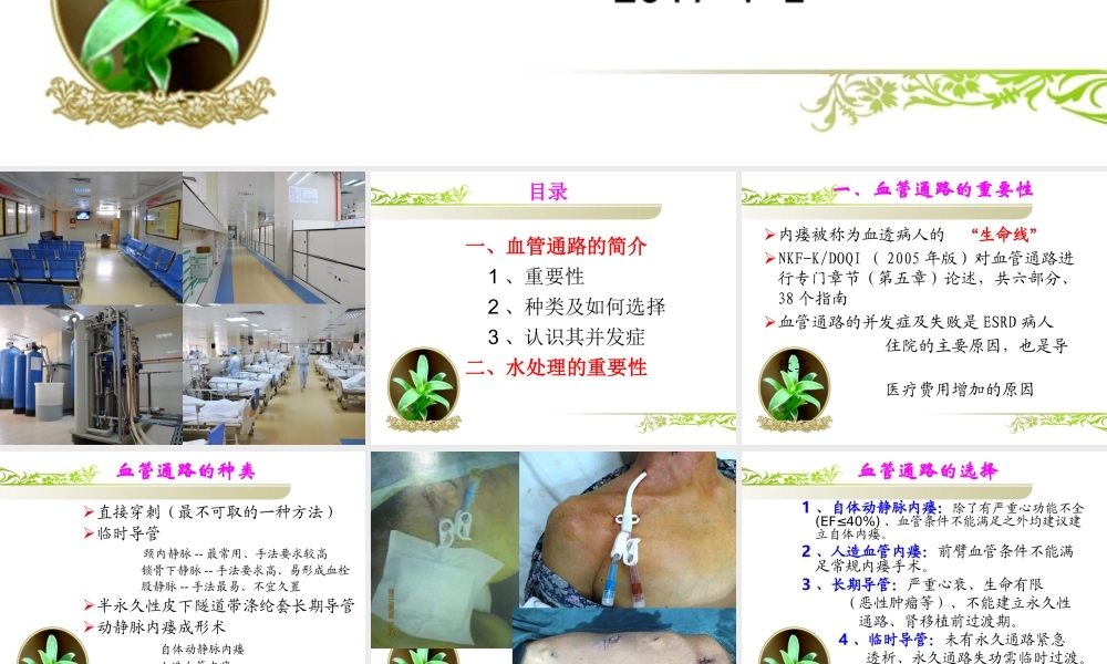 血管通路简介及水处理的重要性.ppt