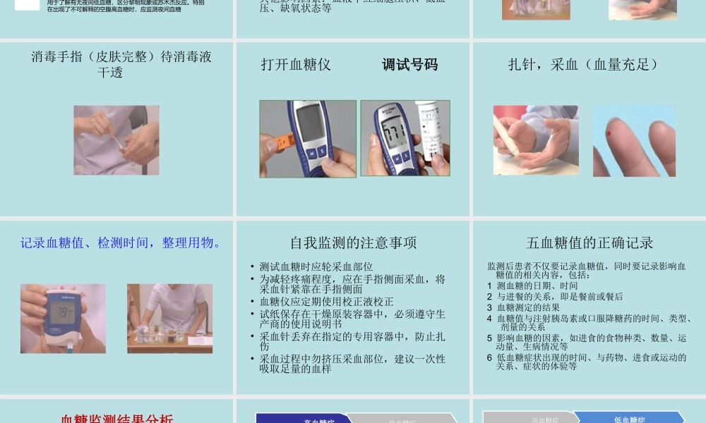 血糖监测与低血糖的处理.ppt