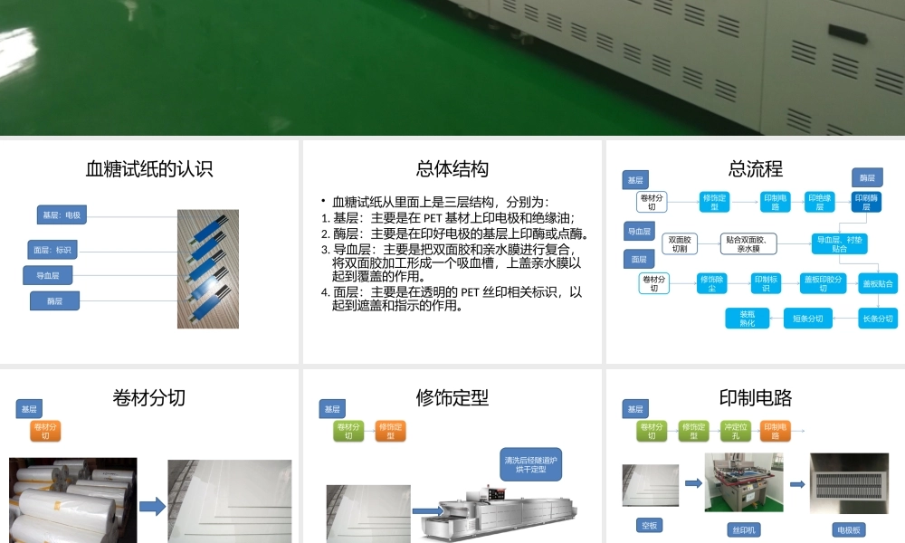 血糖试纸生产工艺流程.pptx