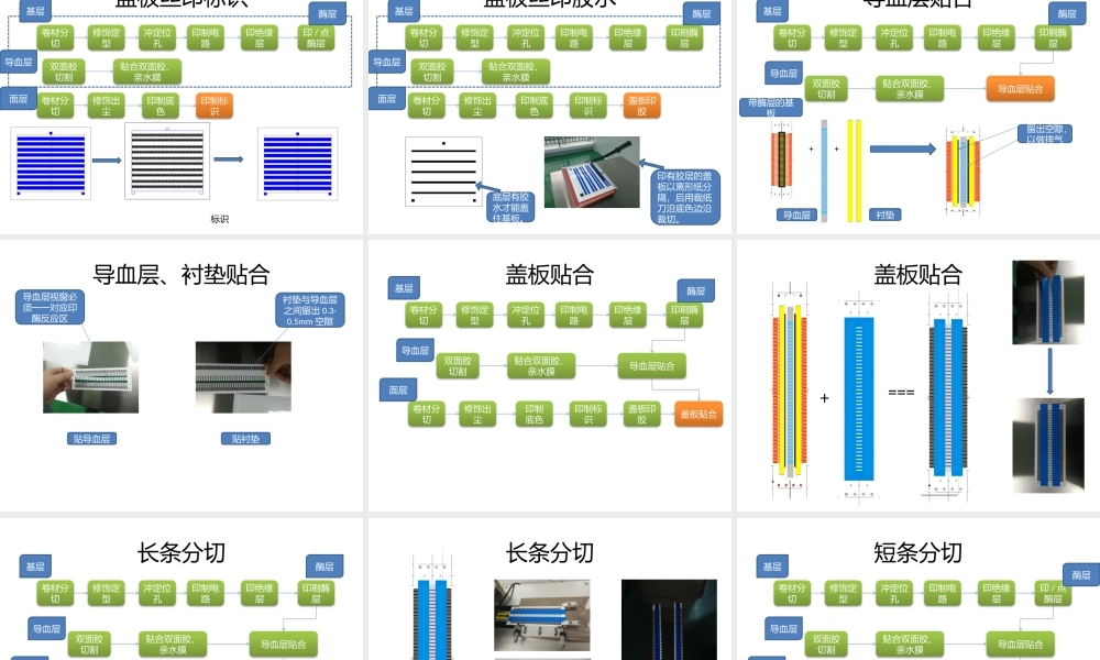 血糖试纸生产工艺流程.pptx
