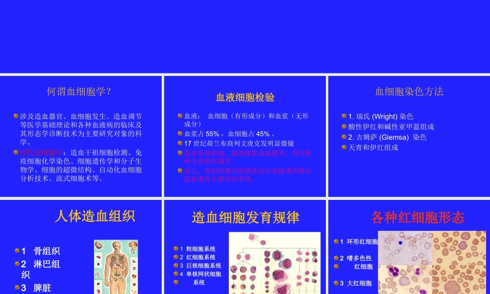 血细胞学检查.ppt