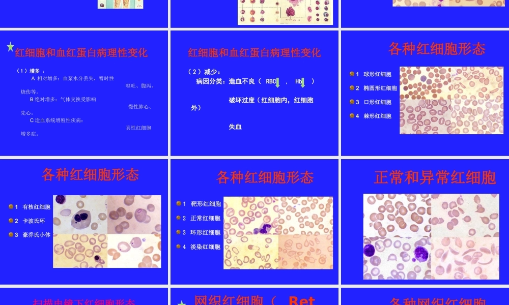 血细胞学检查.ppt