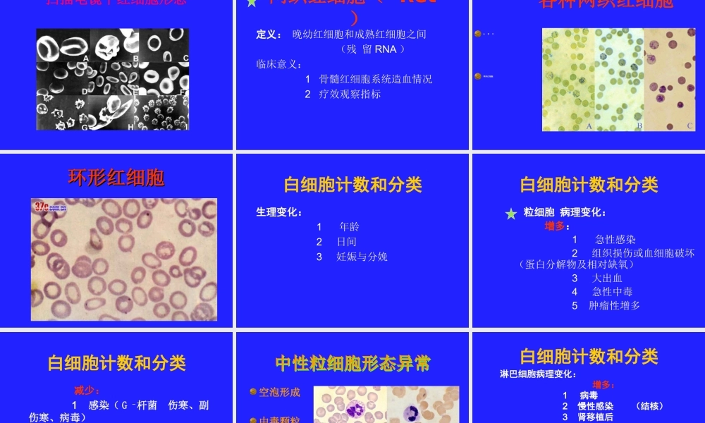血细胞学检查.ppt