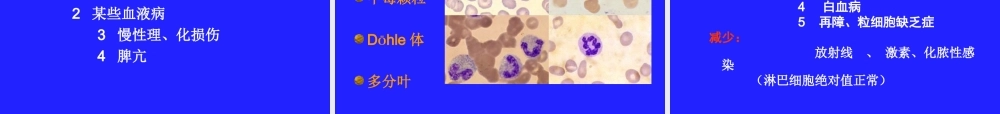 血细胞学检查.ppt