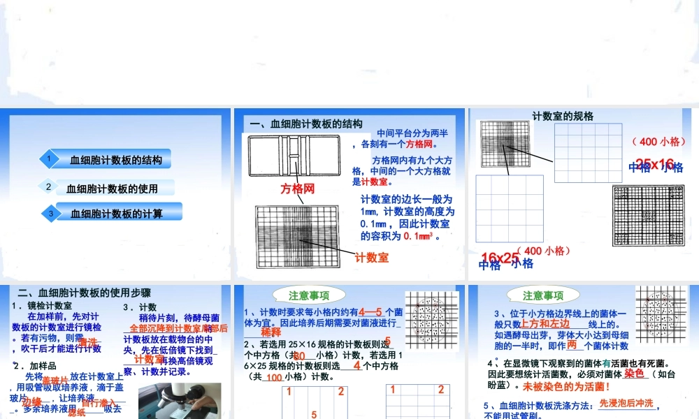 血细胞计数板的使用.ppt