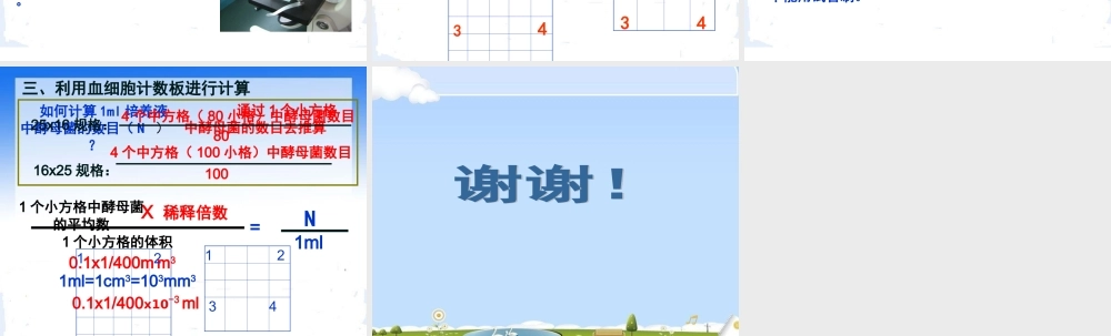 血细胞计数板的使用.ppt