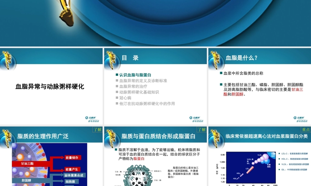 血脂异常与动脉粥样硬化-002.ppt