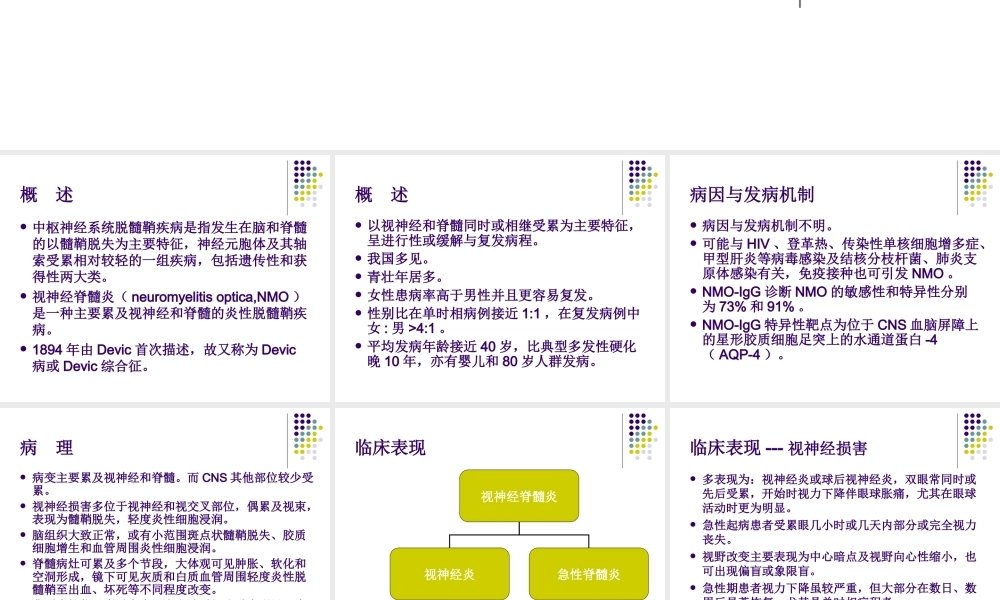 视神经脊髓炎.ppt