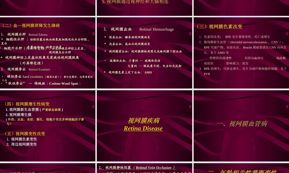 视网膜和视神经病2011.ppt