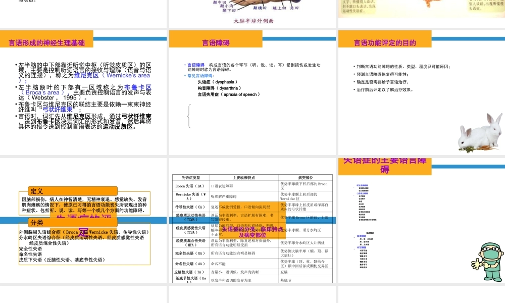 言语吞咽康复.ppt