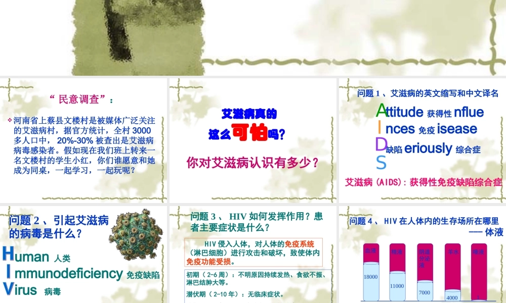 识别感染艾滋病的危险行为.ppt